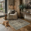 Vintage Distressed Rug 3x5 Brown